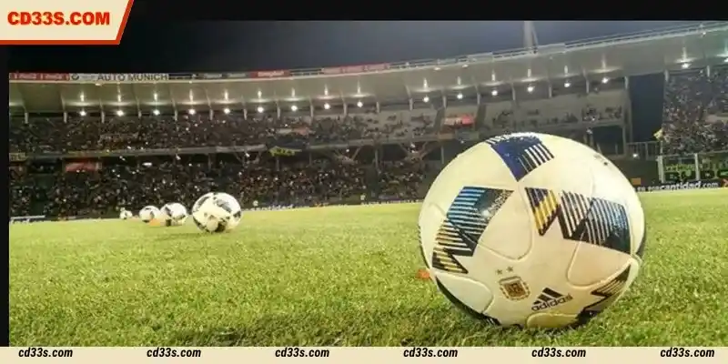 9wickets Sports