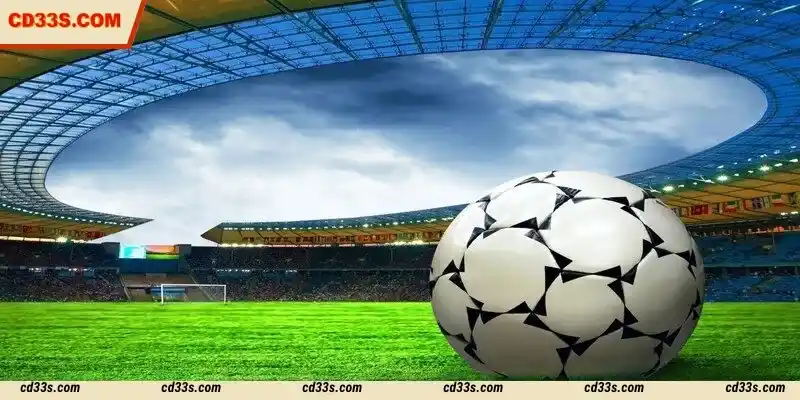 9Wickets Sports is a top-tier, one-of-a-kind betting platform