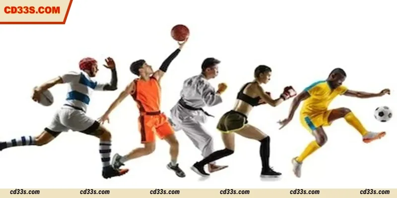 A wide variety of games for super fun betting