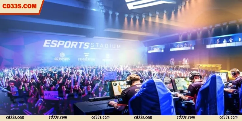Experience betting on professional tournaments