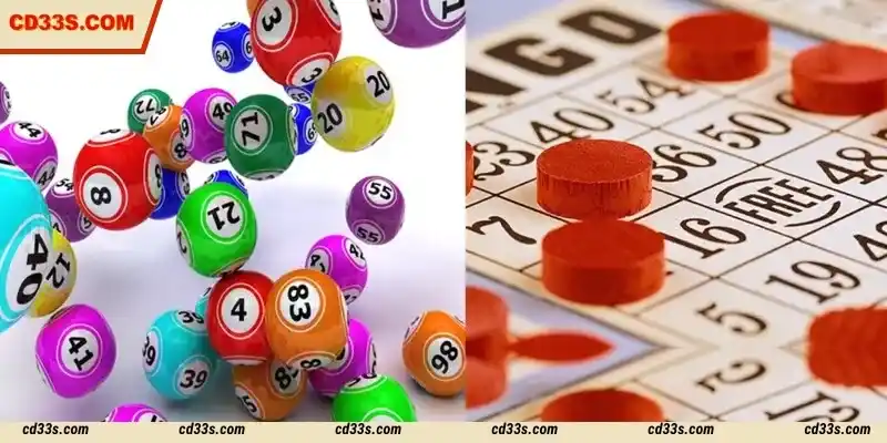 TC Sea Lottery was chosen for its unique features
